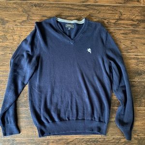 EXPRESS • V Neck Sweater